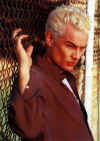 spike55.jpg (34190 bytes)